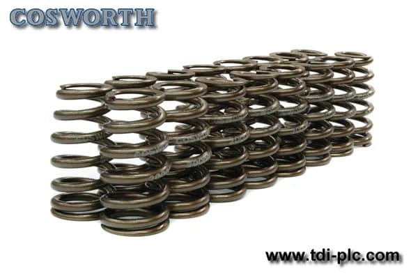 Cosworth SR20 High RPM Valve Springs, image 1 of 1