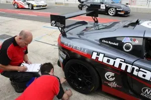 Lotus in pits1