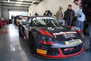 Lotus in pits2